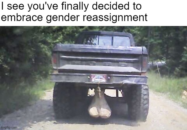 How progressive of you! | I see you've finally decided to
embrace gender reassignment | made w/ Imgflip meme maker