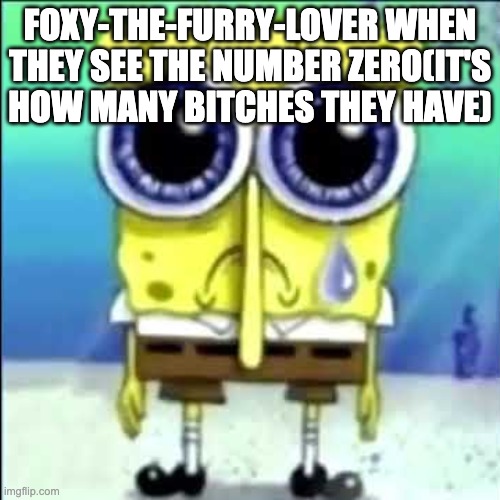 Sad Spongebob | FOXY-THE-FURRY-LOVER WHEN THEY SEE THE NUMBER ZERO(IT'S HOW MANY BITCHES THEY HAVE) | image tagged in sad spongebob | made w/ Imgflip meme maker