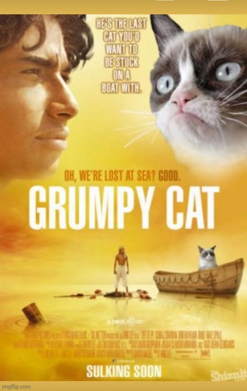 Starring Grumpy Cat | image tagged in grumpycat,epic movie,star | made w/ Imgflip meme maker