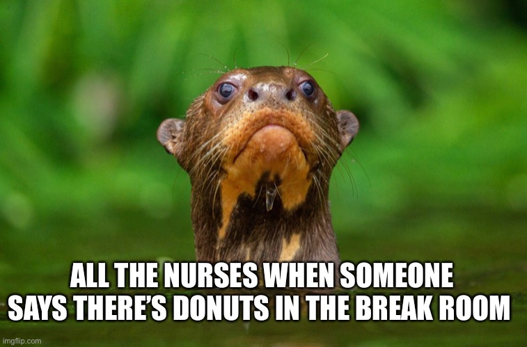Nurse | ALL THE NURSES WHEN SOMEONE SAYS THERE’S DONUTS IN THE BREAK ROOM | image tagged in nurses | made w/ Imgflip meme maker