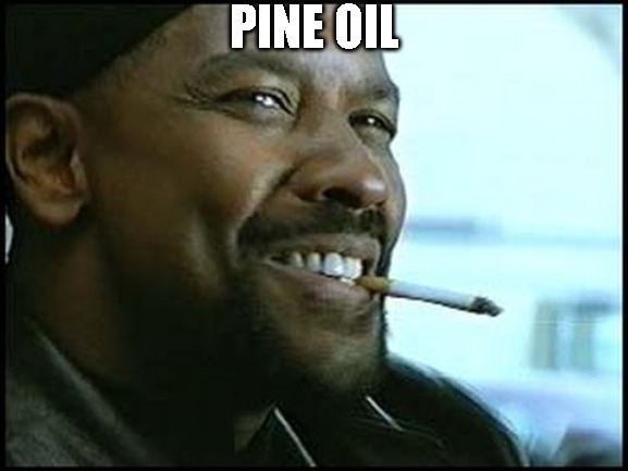 THE GAS CHAMBER | PINE OIL | image tagged in denzel washington | made w/ Imgflip meme maker