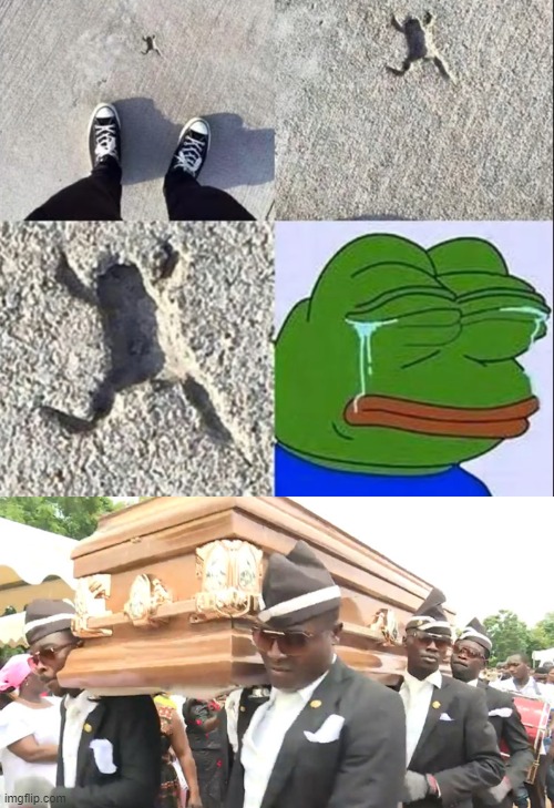 image tagged in dancing coffin | made w/ Imgflip meme maker