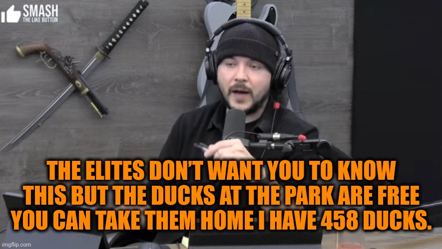 TIM SPEAKS | THE ELITES DON’T WANT YOU TO KNOW THIS BUT THE DUCKS AT THE PARK ARE FREE YOU CAN TAKE THEM HOME I HAVE 458 DUCKS. | image tagged in timcast irl 2022 | made w/ Imgflip meme maker