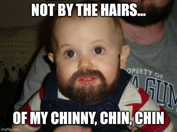Beard Baby Meme | NOT BY THE HAIRS... OF MY CHINNY, CHIN, CHIN | image tagged in memes,beard baby | made w/ Imgflip meme maker