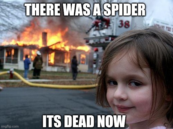 dead spider | THERE WAS A SPIDER; ITS DEAD NOW | image tagged in memes,disaster girl,spider,dead | made w/ Imgflip meme maker