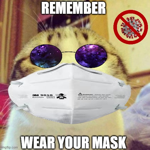 Smiling Cat Meme | REMEMBER; WEAR YOUR MASK | image tagged in memes,smiling cat | made w/ Imgflip meme maker