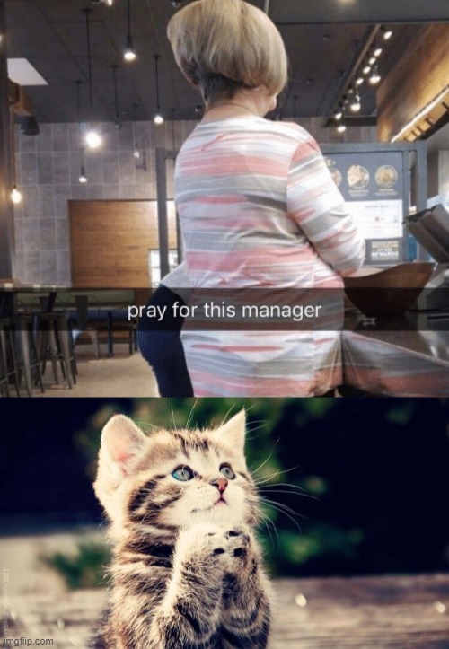 Karen | image tagged in praying cat | made w/ Imgflip meme maker