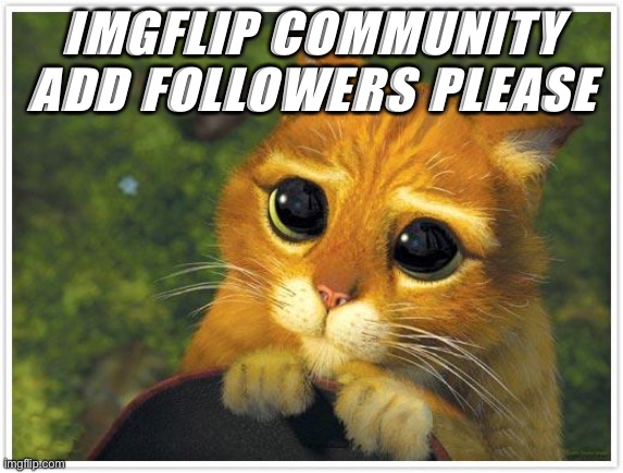 Check this out pls | IMGFLIP COMMUNITY ADD FOLLOWERS PLEASE | image tagged in memes,shrek cat | made w/ Imgflip meme maker