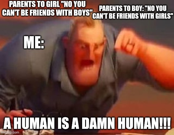 . _ . | PARENTS TO GIRL "NO YOU CAN'T BE FRIENDS WITH BOYS"; PARENTS TO BOY: "NO YOU CAN'T BE FRIENDS WITH GIRLS"; ME:; A HUMAN IS A DAMN HUMAN!!! | image tagged in mr incredible mad | made w/ Imgflip meme maker