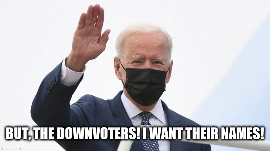 Biden plays Hitler | BUT, THE DOWNVOTERS! I WANT THEIR NAMES! | image tagged in biden plays hitler | made w/ Imgflip meme maker