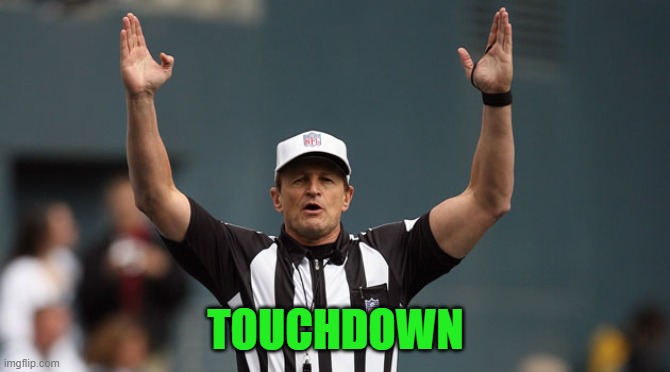 Touchdown Ref | TOUCHDOWN | image tagged in touchdown ref | made w/ Imgflip meme maker