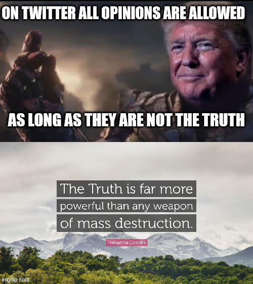 Donald Truth is inevitable | ON TWITTER ALL OPINIONS ARE ALLOWED; AS LONG AS THEY ARE NOT THE TRUTH | image tagged in trump inevitable,memes,politics,twitter,elon musk | made w/ Imgflip meme maker