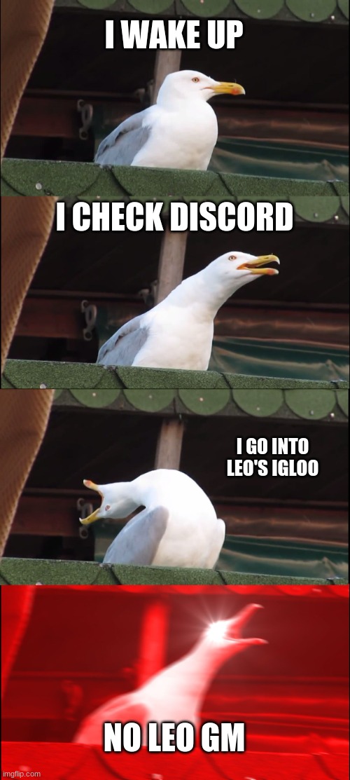 Inhaling Seagull | I WAKE UP; I CHECK DISCORD; I GO INTO LEO'S IGLOO; NO LEO GM | image tagged in memes,inhaling seagull | made w/ Imgflip meme maker