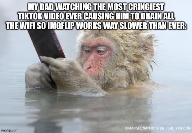 monkey mobile phone | MY DAD WATCHING THE MOST CRINGIEST TIKTOK VIDEO EVER CAUSING HIM TO DRAIN ALL THE WIFI SO IMGFLIP WORKS WAY SLOWER THAN EVER: | image tagged in monkey mobile phone | made w/ Imgflip meme maker