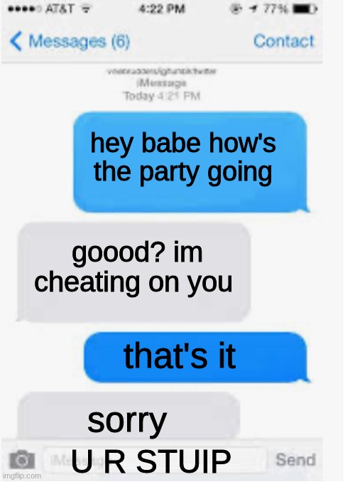 Blank text conversation | hey babe how's the party going; goood? im cheating on you; that's it; sorry; U R STUIP | image tagged in blank text conversation | made w/ Imgflip meme maker