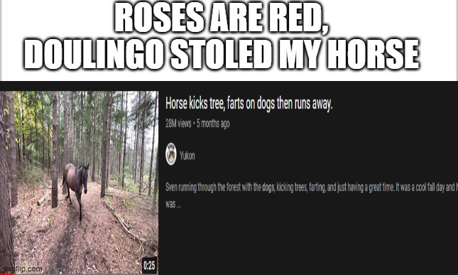 ROSES ARE RED, DOULINGO STOLED MY HORSE | image tagged in memes,blank white template | made w/ Imgflip meme maker