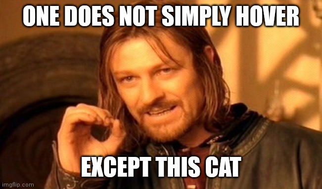One Does Not Simply Meme | ONE DOES NOT SIMPLY HOVER EXCEPT THIS CAT | image tagged in memes,one does not simply | made w/ Imgflip meme maker