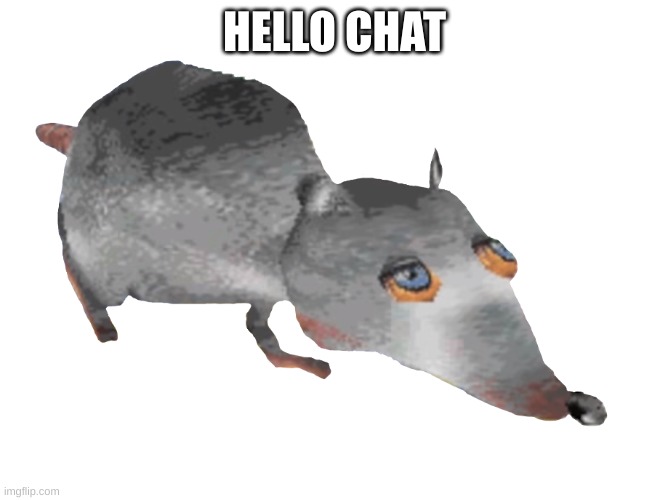 Jerma Rat | HELLO CHAT | image tagged in jerma rat | made w/ Imgflip meme maker