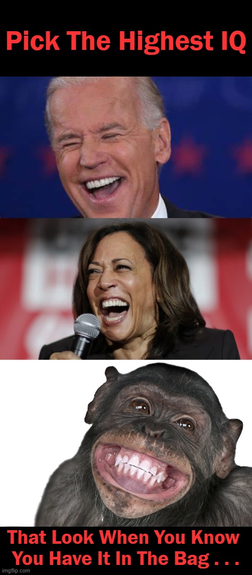A Cheater, A Cackler & A Chimp Walked Into A Bar. . . . | image tagged in politics,joe biden,kamala harris,iq,lol,imgflip humor | made w/ Imgflip meme maker