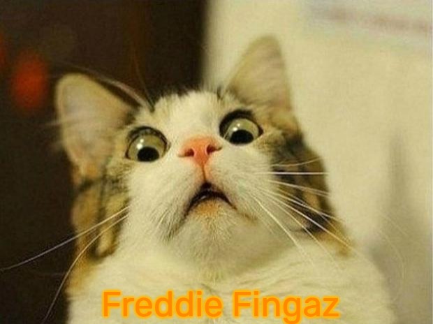Scared Cat | Freddie Fingaz | image tagged in memes,scared cat,slavic lives matter,freddie fingaz | made w/ Imgflip meme maker
