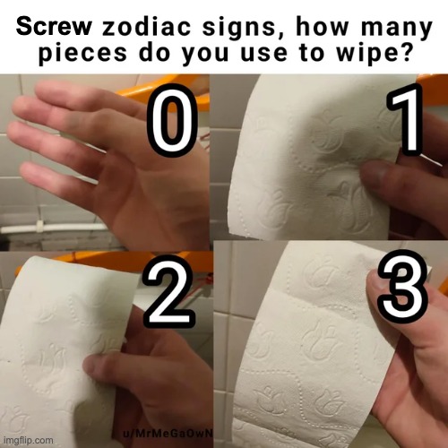 I always do a no paper wipe when my money's low | Screw | image tagged in memes,unfunny | made w/ Imgflip meme maker