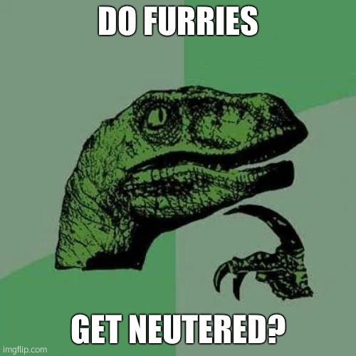 no offense, i am one okay | DO FURRIES; GET NEUTERED? | image tagged in raptor asking questions | made w/ Imgflip meme maker
