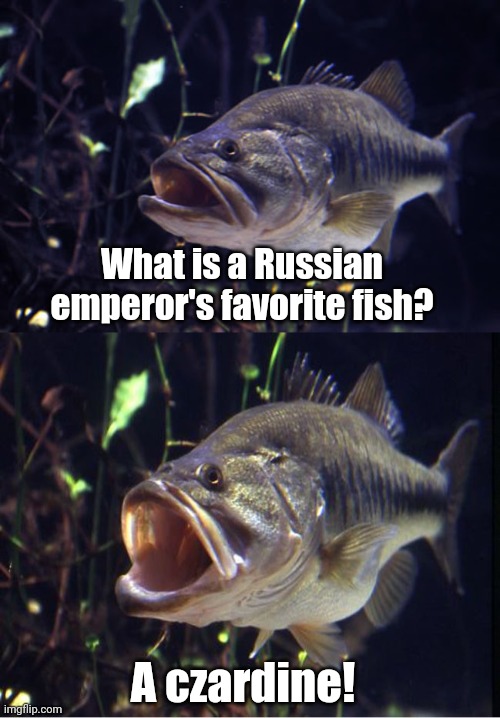 This pun is kinda fishy |  What is a Russian emperor's favorite fish? A czardine! | image tagged in memes,bad pun,bass,all about that bass,fishy,puns | made w/ Imgflip meme maker