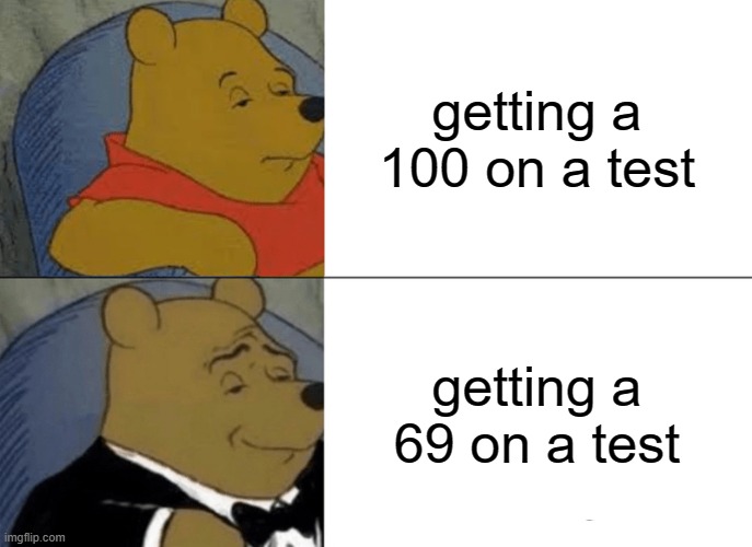 winnie says facts | getting a 100 on a test; getting a 69 on a test | image tagged in memes,tuxedo winnie the pooh | made w/ Imgflip meme maker