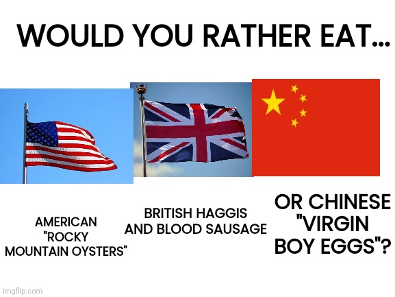 You have to pick one. Also, the ROC is the real China. | WOULD YOU RATHER EAT... OR CHINESE "VIRGIN BOY EGGS"? BRITISH HAGGIS AND BLOOD SAUSAGE; AMERICAN "ROCKY MOUNTAIN OYSTERS" | image tagged in blank white template | made w/ Imgflip meme maker