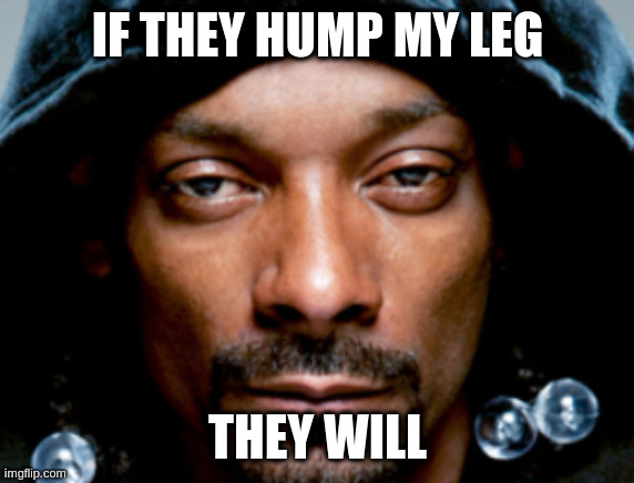 true dat | IF THEY HUMP MY LEG THEY WILL | image tagged in snoop scowl | made w/ Imgflip meme maker