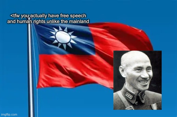 Taiwan Flag | <tfw you actually have free speech and human rights unlike the mainland | image tagged in taiwan flag | made w/ Imgflip meme maker