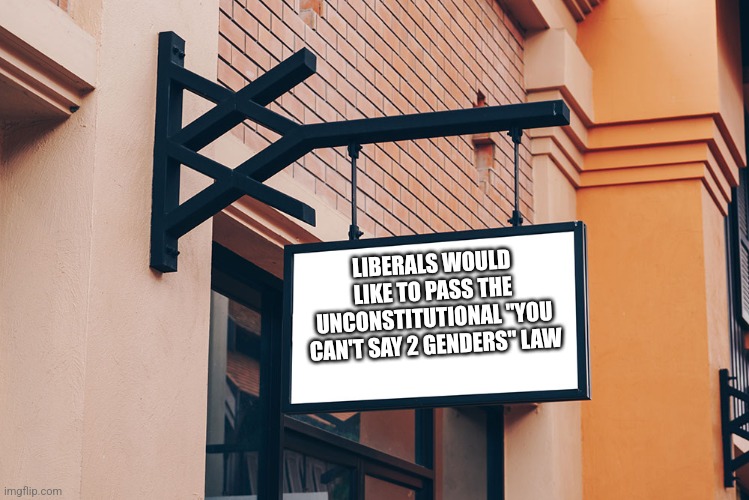 LIBERALS WOULD LIKE TO PASS THE UNCONSTITUTIONAL "YOU CAN'T SAY 2 GENDERS" LAW | image tagged in funny memes | made w/ Imgflip meme maker