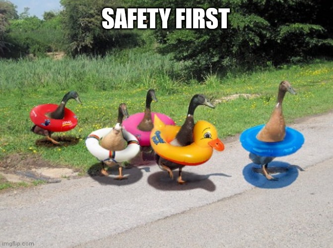 SAFETY FIRST | image tagged in ducks,safety first,funny,funny memes,lol | made w/ Imgflip meme maker