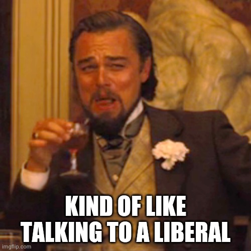 Laughing Leo Meme | KIND OF LIKE TALKING TO A LIBERAL | image tagged in memes,laughing leo | made w/ Imgflip meme maker