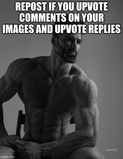 Giga Chad | REPOST IF YOU UPVOTE COMMENTS ON YOUR IMAGES AND UPVOTE REPLIES | image tagged in giga chad | made w/ Imgflip meme maker