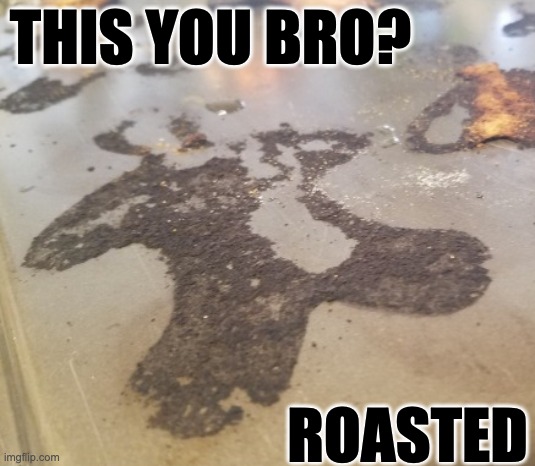 you're done | THIS YOU BRO? ROASTED | image tagged in roasted,burned,dead,deceased,finished,this you bro | made w/ Imgflip meme maker