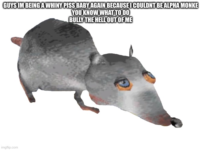 Jerma Rat | GUYS IM BEING A WHINY PISS BABY AGAIN BECAUSE I COULDNT BE ALPHA MONKE
YOU KNOW WHAT TO DO
BULLY THE HELL OUT OF ME | image tagged in jerma rat | made w/ Imgflip meme maker