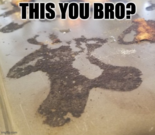 THIS YOU BRO? | image tagged in roasted | made w/ Imgflip meme maker