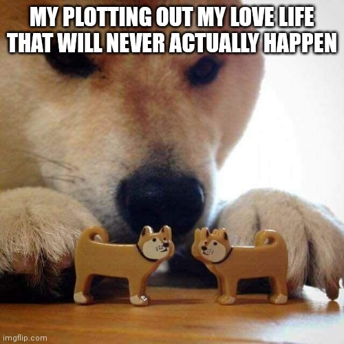 dog now kiss  | MY PLOTTING OUT MY LOVE LIFE THAT WILL NEVER ACTUALLY HAPPEN | image tagged in dog now kiss | made w/ Imgflip meme maker