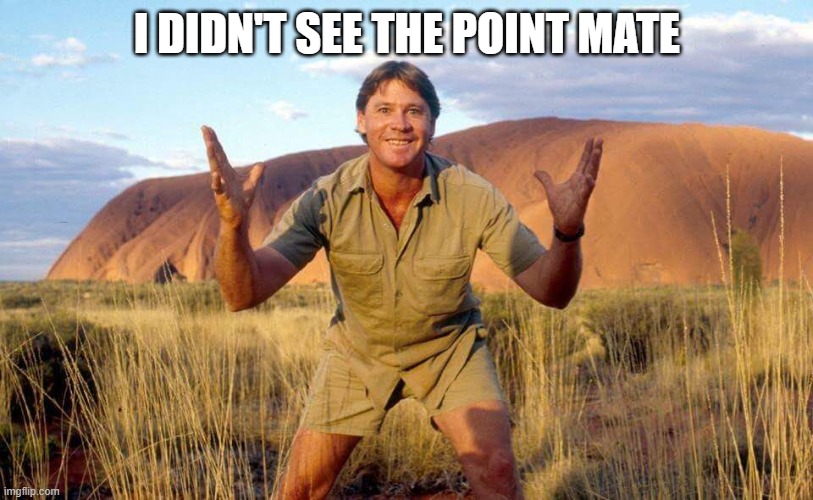 Steve Irwin Crocodile Hunter  | I DIDN'T SEE THE POINT MATE | image tagged in steve irwin crocodile hunter | made w/ Imgflip meme maker