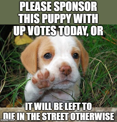 every up vote goes to a good home folks | PLEASE SPONSOR THIS PUPPY WITH UP VOTES TODAY, OR; IT WILL BE LEFT TO DIE IN THE STREET OTHERWISE | image tagged in dog puppy bye,fun,upvote begging | made w/ Imgflip meme maker