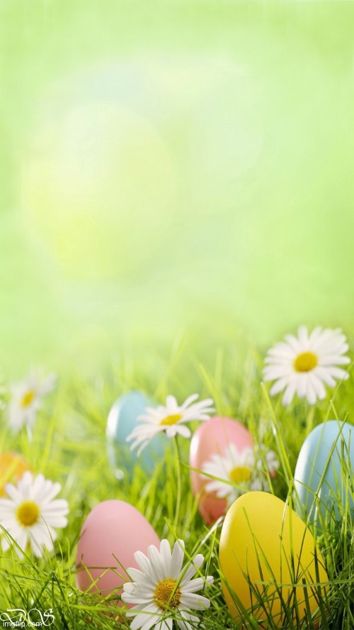 Easter Vibes | image tagged in easter,wallpaper,enjoy | made w/ Imgflip meme maker