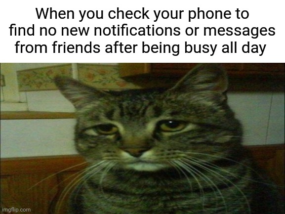 Rip | When you check your phone to find no new notifications or messages from friends after being busy all day | image tagged in rip,the struggle is real,cats,busy,what my friends think i do,texting messages blank | made w/ Imgflip meme maker