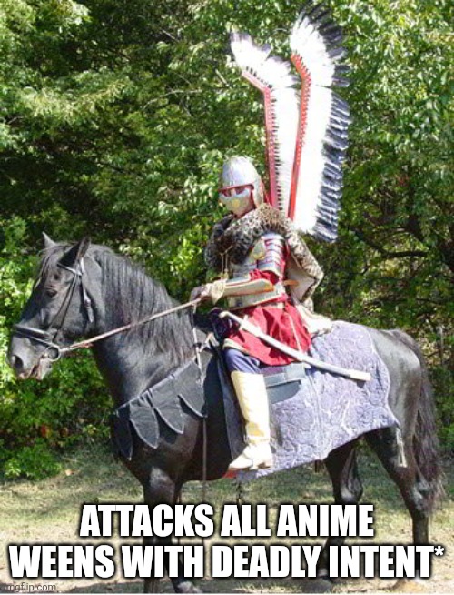 Hussar | ATTACKS ALL ANIME WEENS WITH DEADLY INTENT* | image tagged in hussar | made w/ Imgflip meme maker
