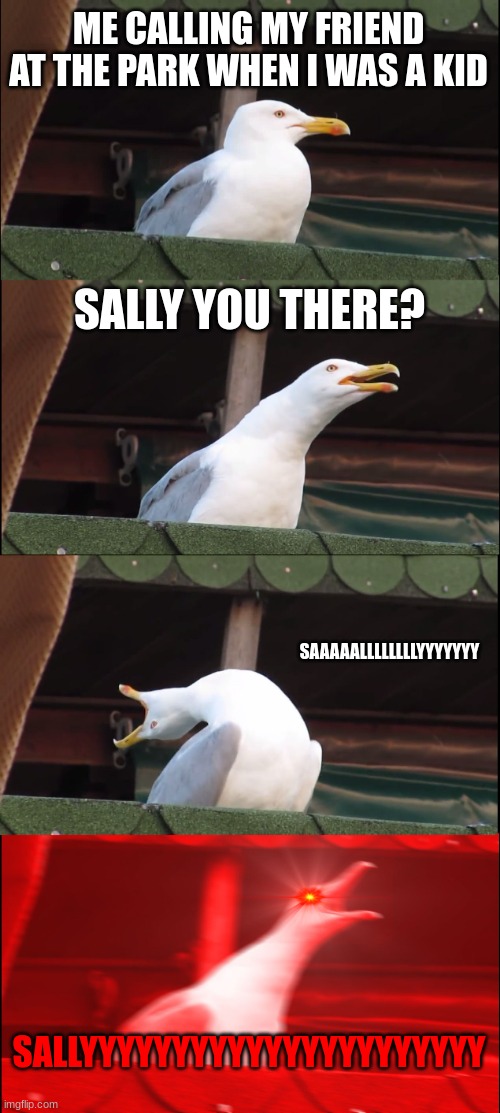 me when i was a child playing hide and seek and i give up be like: | ME CALLING MY FRIEND AT THE PARK WHEN I WAS A KID; SALLY YOU THERE? SAAAAALLLLLLLLYYYYYYY; SALLYYYYYYYYYYYYYYYYYYYYYY | image tagged in memes,inhaling seagull | made w/ Imgflip meme maker