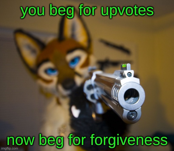 Furry with gun | you beg for upvotes now beg for forgiveness | image tagged in furry with gun | made w/ Imgflip meme maker