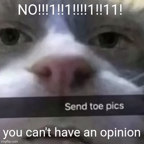 kat | NO!!!1!!1!!!!1!!11! you can't have an opinion | image tagged in kat | made w/ Imgflip meme maker