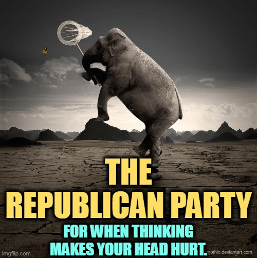 Vote Republican and you'll never have to think again. | THE REPUBLICAN PARTY; FOR WHEN THINKING MAKES YOUR HEAD HURT. | image tagged in republican elephant crazy chasing butterflies,republican party,no,thinking,here | made w/ Imgflip meme maker