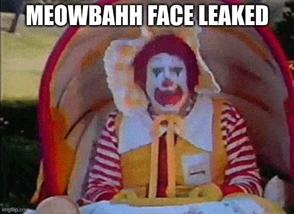 Ronald McDonald in a stroller | MEOWBAHH FACE LEAKED | image tagged in ronald mcdonald in a stroller | made w/ Imgflip meme maker