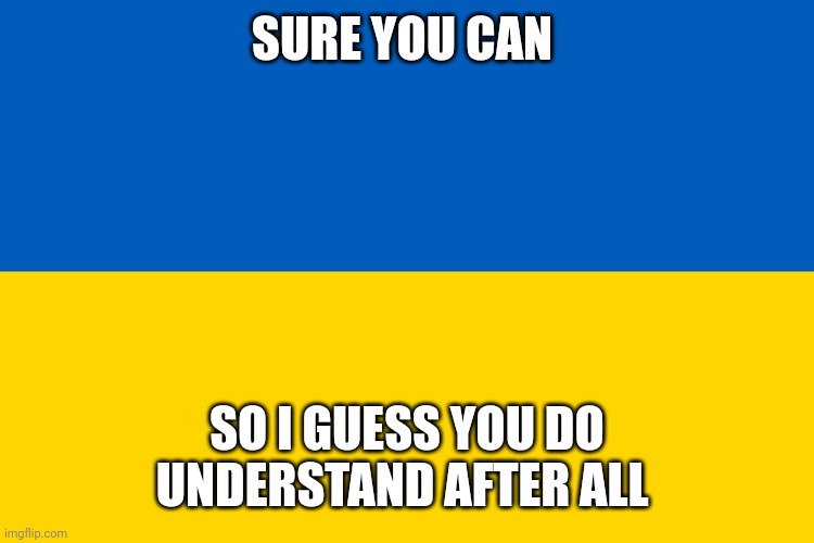 Ukraine flag | SURE YOU CAN SO I GUESS YOU DO UNDERSTAND AFTER ALL | image tagged in ukraine flag | made w/ Imgflip meme maker